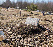 Gyvūnų kapinės