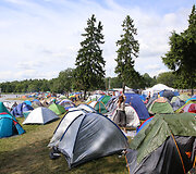 Bliuzo naktys, festivalis, muzikos festivalis