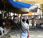 Rasos Žukauskaitės kelionės į Indiją akimirka