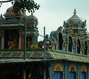Rasos Žukauskaitės kelionės į Indiją akimirka