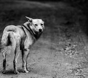 Festivalio &bdquo;Tundra&lsquo;12&ldquo; akimirka