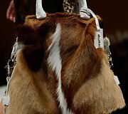 &bdquo;Max Mara&ldquo; kolekcija