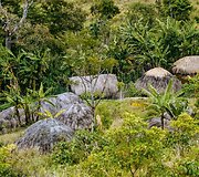 Kaimas džiunglėse (Papua provincija, Indonezija)
