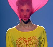 Kolekcijos modelis