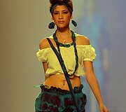 Kolekcijos modelis