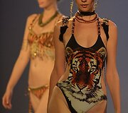 Kolekcijos modelis