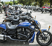 Harley-Davidson bandomasis važiavimas