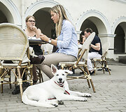 gurmani&scaron;kų burgerių festivalis &bdquo;Vilnius Burger Fest&ldquo;