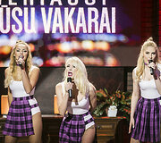 Grupė &bdquo;Yva&ldquo;