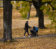 Sapiegų rūmų parkas 