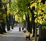 Sapiegų rūmų parkas 