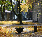 Sapiegų rūmų parkas 