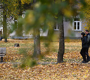 Sapiegų rūmų parkas 