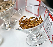 &bdquo;Pestaurant&ldquo; restorano atidarymas