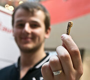 &bdquo;Pestaurant&ldquo; restorano atidarymas
