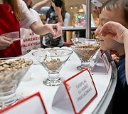&bdquo;Pestaurant&ldquo; restorano atidarymas