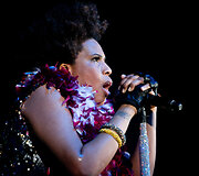 Macy Gray koncertas Vilniuje