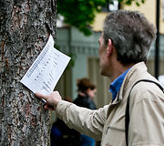 Gatvės muzikos dienos Vilniuje akimirka