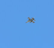 Tarptautinės pratybos &bdquo;Air Defender 23&ldquo;
