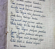 Diskusija &bdquo;Intymus žvilgsnis. Janinos Degutytės poezija ir biografija&ldquo;