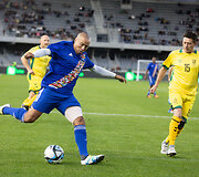 Pasaulio futbolo legendų rungtynės su legendiniais Lietuvos futbolininkais. Davidas Trezeguet