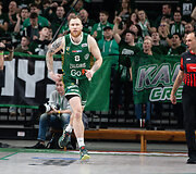 Ignas Brazdeikis