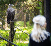 Kauno zoologijos sodo gyvūnų priežiūros specialistė Diana Prei&scaron;egalavičienė