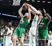 Ignas Brazdeikis