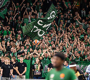 Eurolyga: &bdquo;Žalgiris&ldquo; &ndash; ASVEL