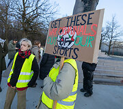 &bdquo;Poppies Palestine Action&ldquo; prie Dariaus ir Girėno stadiono