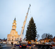 Kauno Kalėdų eglė Rotu&scaron;ės aik&scaron;tėje