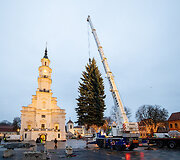 Kauno Kalėdų eglė Rotu&scaron;ės aik&scaron;tėje