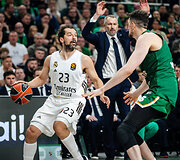 Sergio Llull