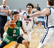 Lietuvos rezervinė rinktinė &ndash; Arizonos univeristeto komanda