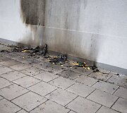 Padegta &bdquo;Kauno dienos&ldquo; redakcijos i&scaron;kaba