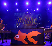 &bdquo;Goldfish&ldquo;