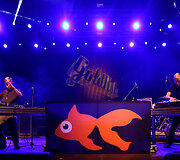 &bdquo;Goldfish&ldquo;