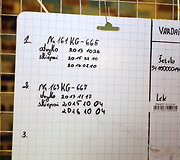 Paramos akcija beglobiams gyvūnams