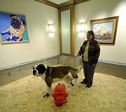 Specialus puodukas prabangiame &scaron;unų vie&scaron;butyje &scaron;uni&scaron;kiems gamtos reikaliukams atlikti.