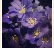 &bdquo;2,5 metukų dukrytės dovana.&ldquo;