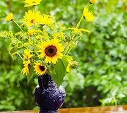 Gėlių puok&scaron;tė