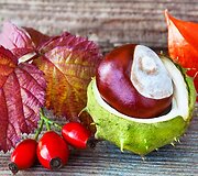 Rudens dekoracijos