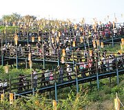 Seulas