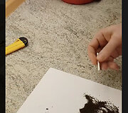 Internete aiškinama, esą arbatžolėse esama grafeno