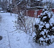 Apsnigtas Vilnius