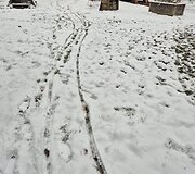 Sniegas Vilniuje