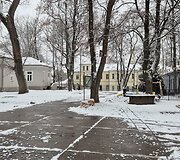 Sniegas Vilniuje