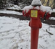 Sniegas Vilniuje