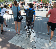 Maratonas