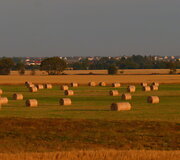 &bdquo;Klaipėdos kra&scaron;to taurė 2014&ldquo; 
